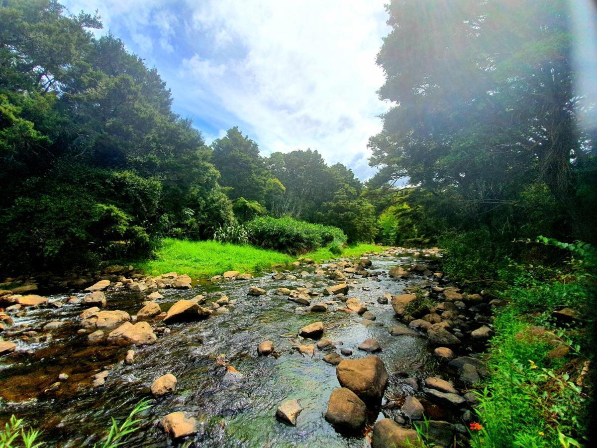 Kauri Coast Top 10 Holiday Park Kaihu Kültér fotó
